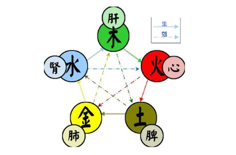 五行 相生|五行（对万事万物的取象比类）